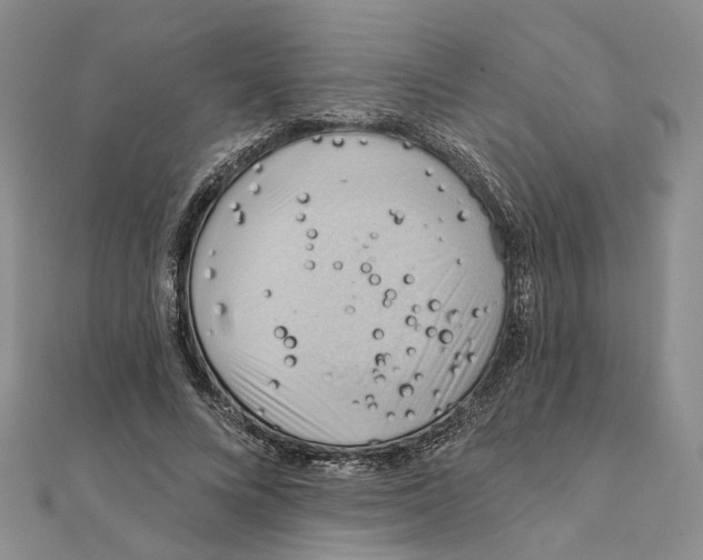 X0000111360688200908071153