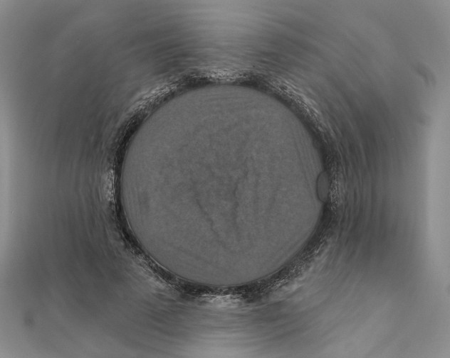 X0000111360689200908071153