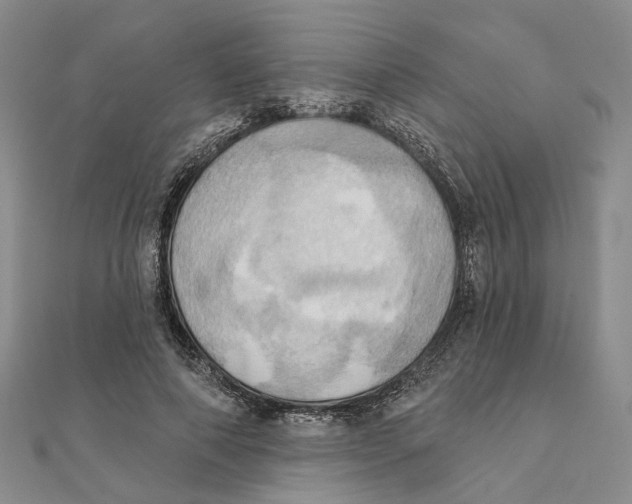 X0000111360690200908071153