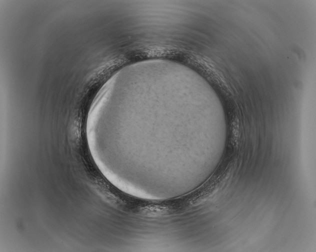 X0000111360691200908071153