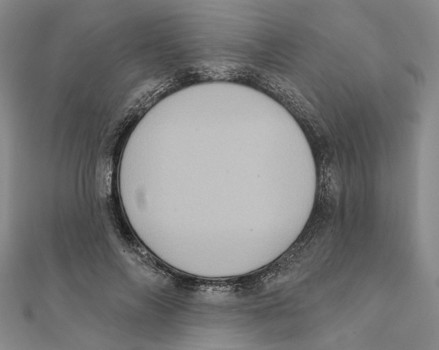 X0000111360694200908071153