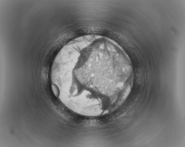 X0000111360695200908071153