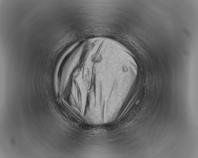 X0000111360696200908071153