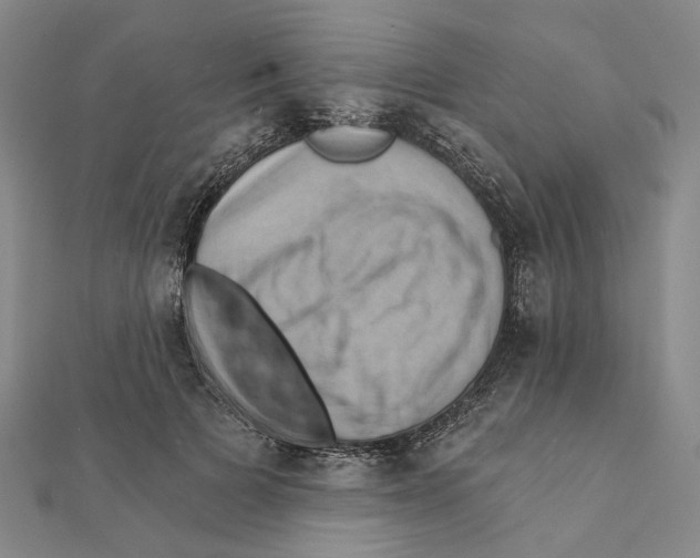 X0000111360697200908071153