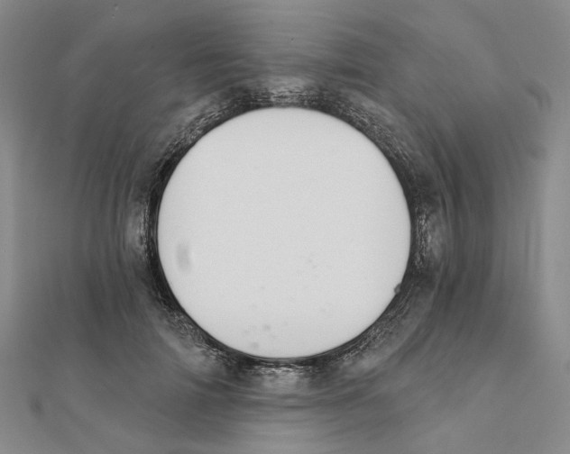 X0000111360698200908071153