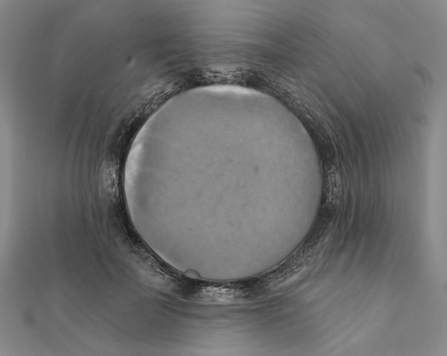 X0000111360699200908071153