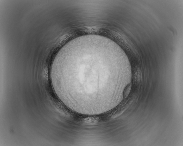 X0000111360700200908071153