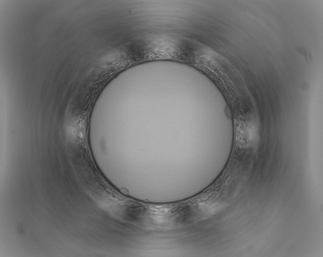 X0000111360701200908071153