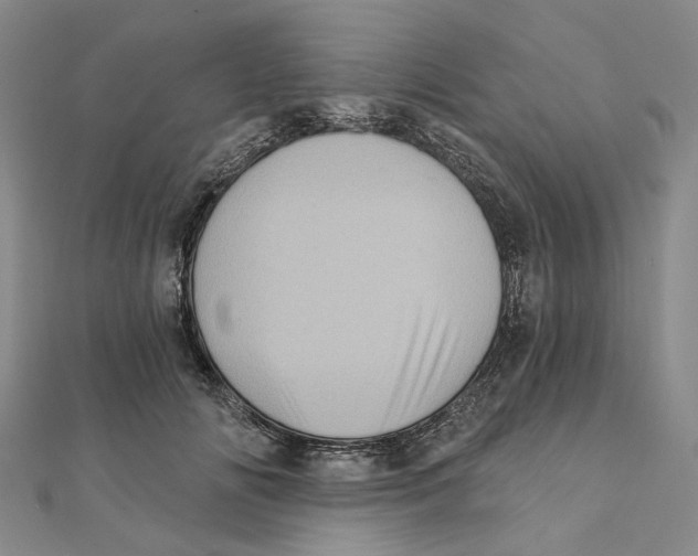 X0000111360702200908071153