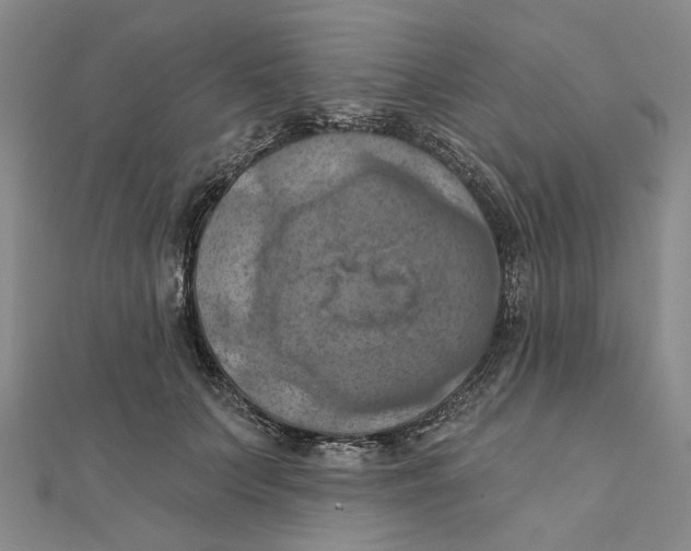 X0000111360703200908071153