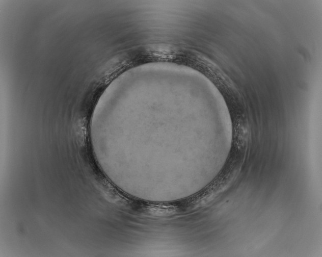 X0000111360707200908071153