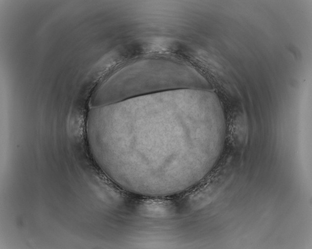 X0000111360708200908071153