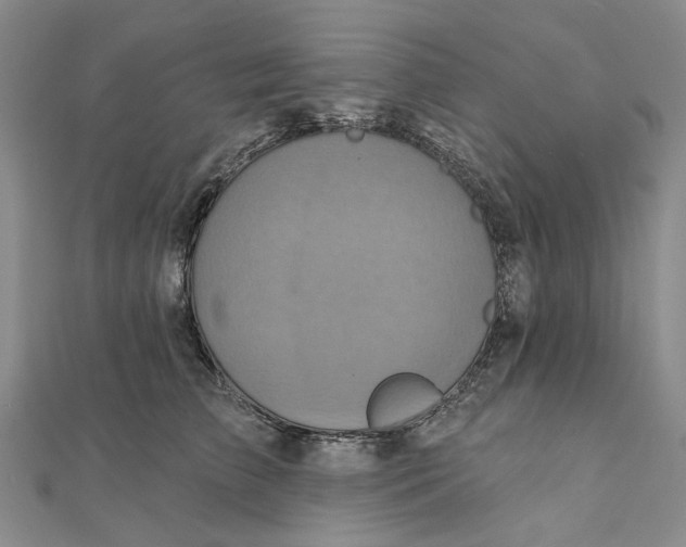 X0000111360709200908071153