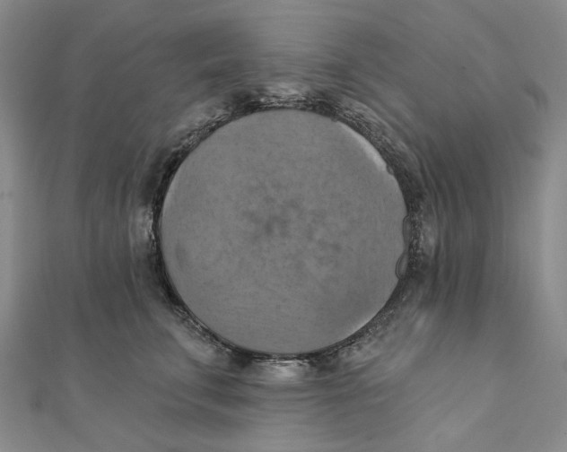 X0000111360711200908071153