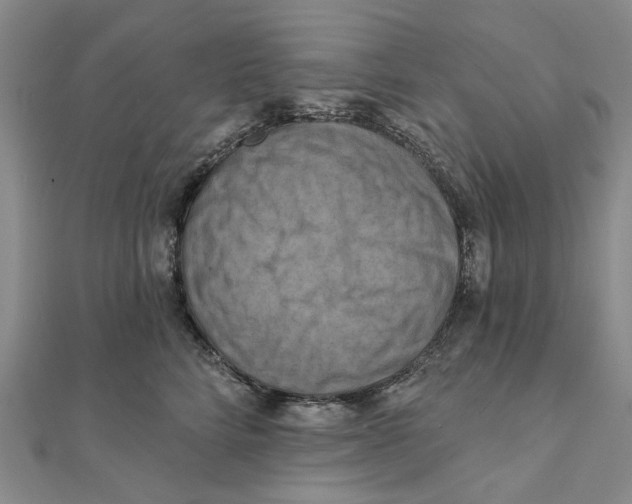 X0000111360712200908071153