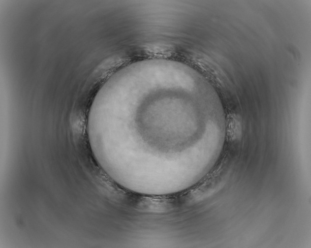 X0000111360713200908071153