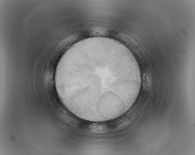 X0000111360714200908071153