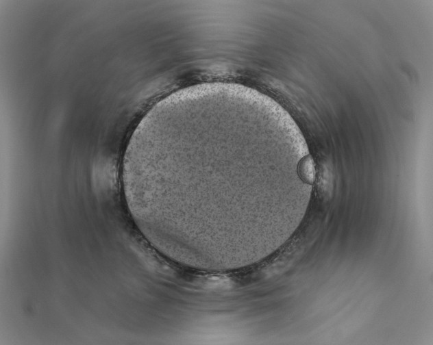 X0000111360715200908071153