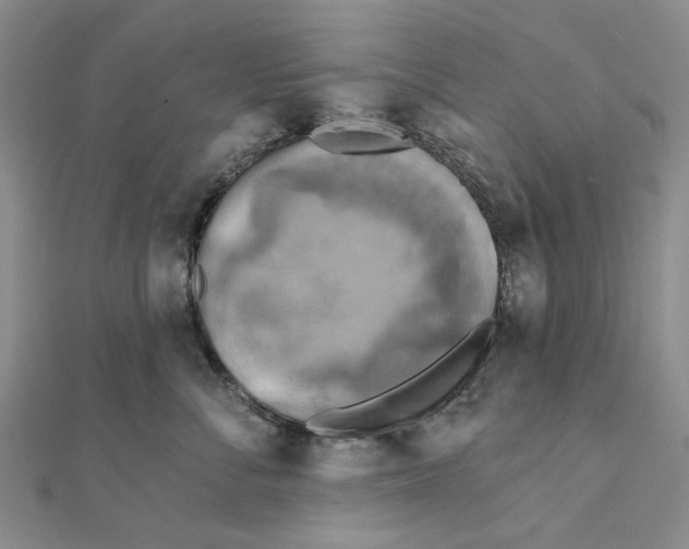 X0000111360716200908071153