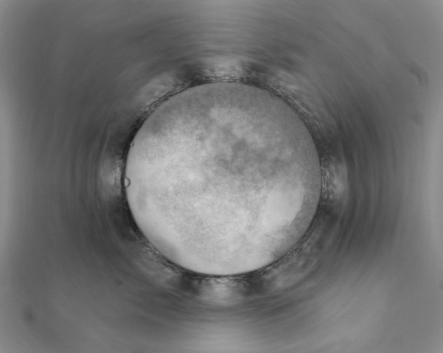 X0000111360717200908071153