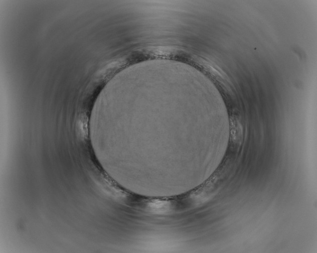 X0000111360718200908071153