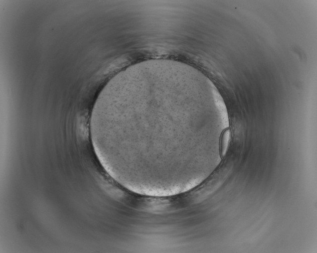 X0000111360719200908071153