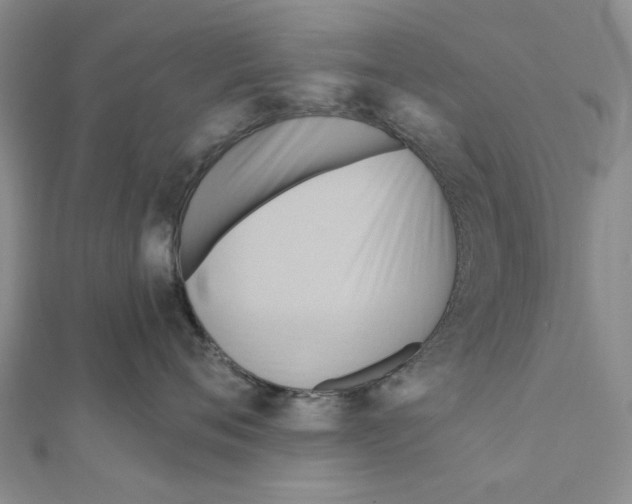 X0000111360720200908071153