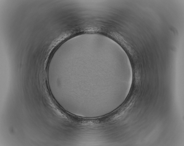 X0000111360721200908071152