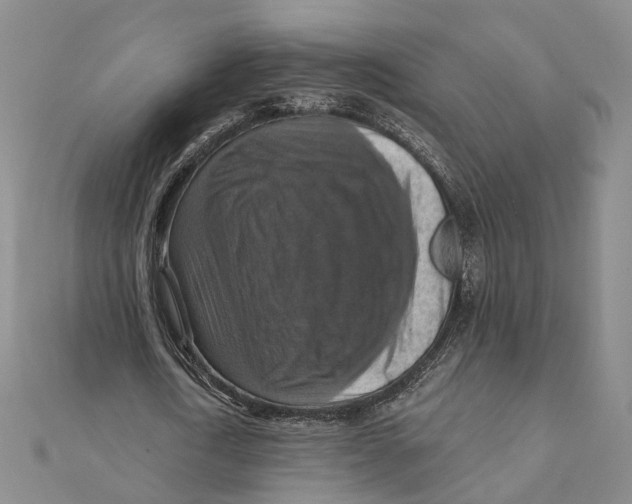 X0000111360722200908071152