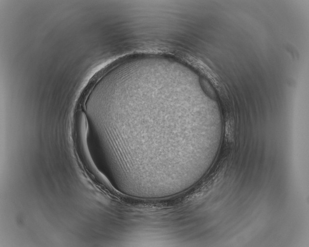 X0000111360724200908071152