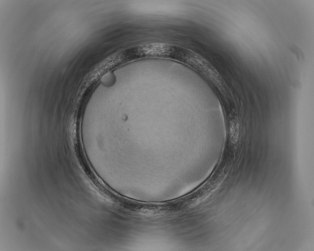 X0000111360725200908071152