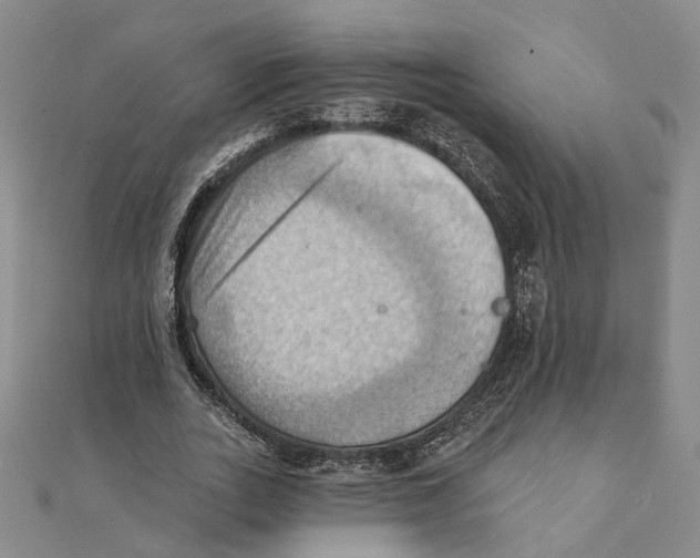 X0000111360727200908071153