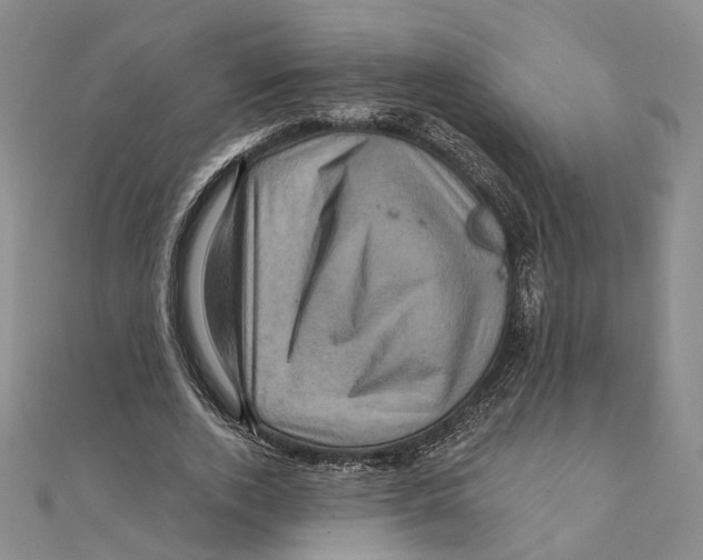 X0000111360728200908071153