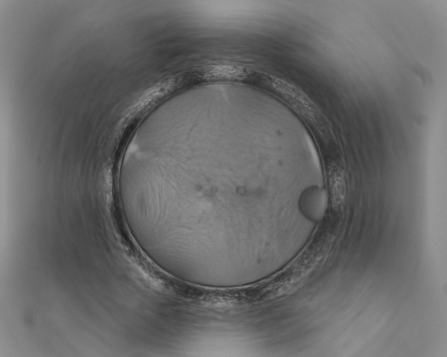 X0000111360729200908071153