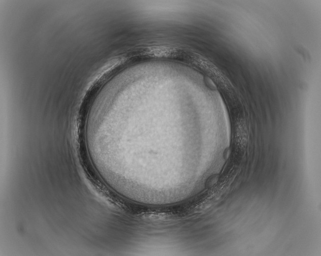 X0000111360730200908071153