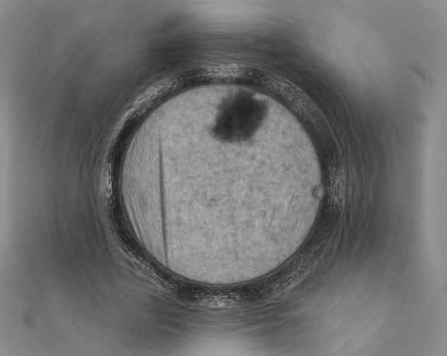 X0000111360731200908071153