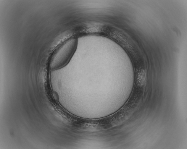 X0000111360732200908071153