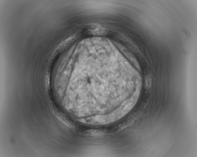 X0000111360733200908071153