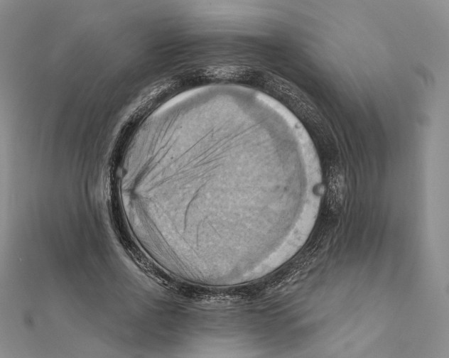 X0000111360734200908071153