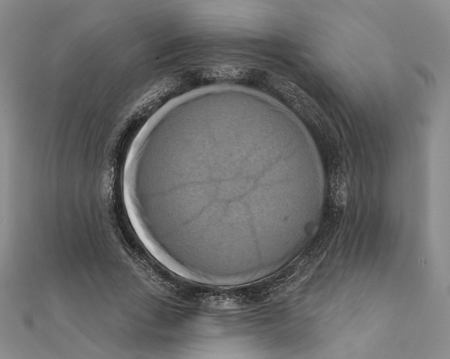 X0000111360735200908071153