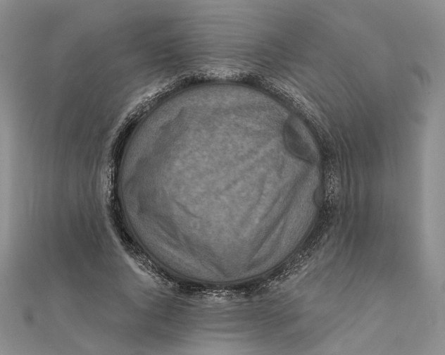 X0000111360736200908071153