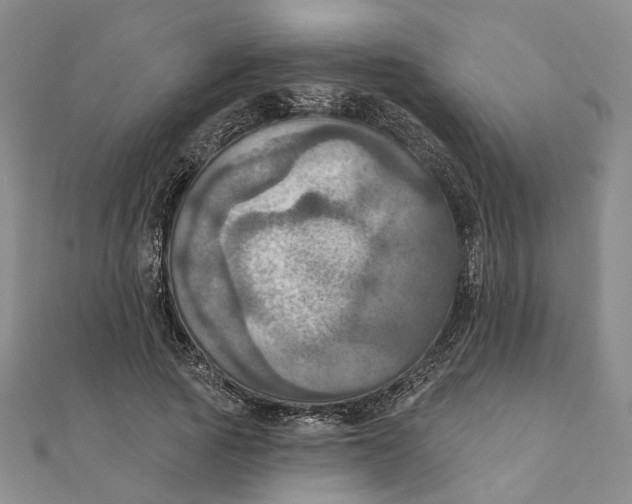 X0000111360737200908071153