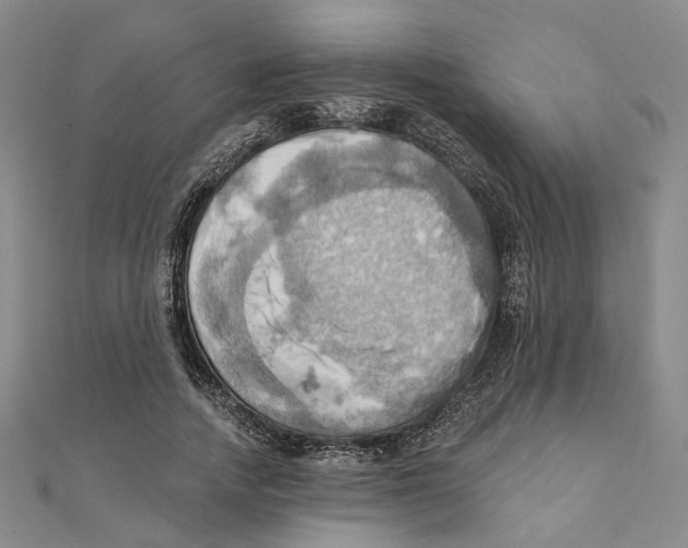 X0000111360738200908071153