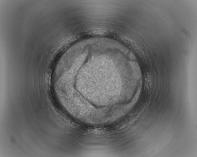 X0000111360739200908071153