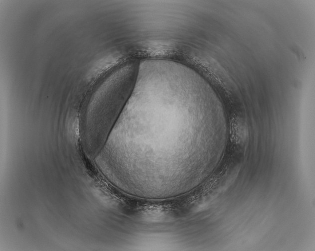 X0000111360740200908071153