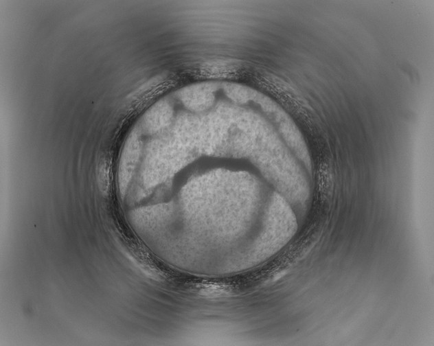 X0000111360741200908071153