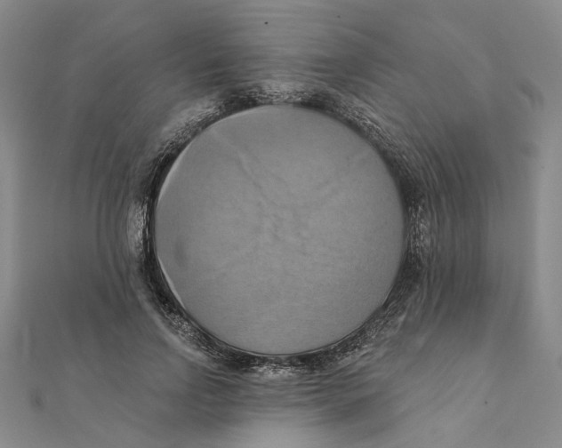 X0000111360742200908071153