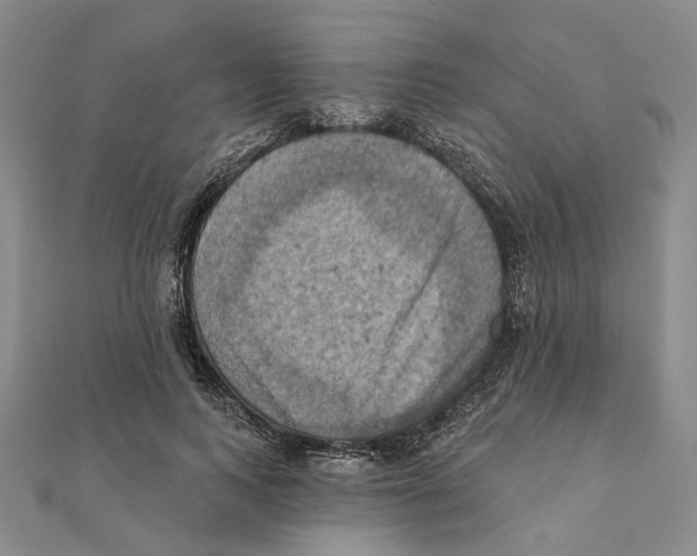 X0000111360743200908071153