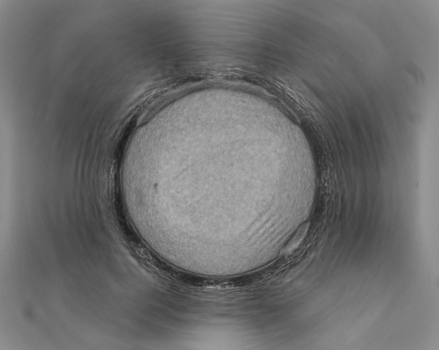 X0000111360744200908071153