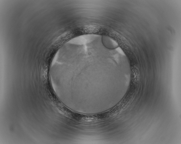 X0000111360745200908071153